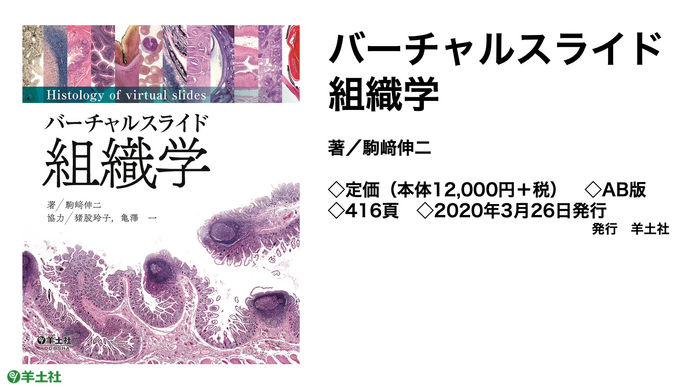羊土社 バーチャルスライド組織学